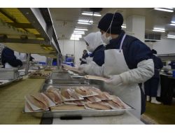 Denizi Olmayan Kahramanmaraş, Balık İhracatında İlk 3'e Girdi