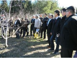 Çiftçilere Budama Eğitimi Verildi