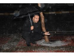 Dolu Yağışı Manavgat'ta Hayatı Olumsuz Etkiledi