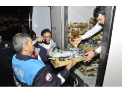 Kaçak Balık Avı Denetimlerinde 105 Tekneye El Konuldu