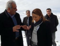 Milletvekilinin Aracı Buzlanma Nedeniyle Yolda Kaldı