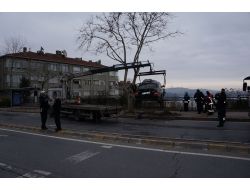 Lüks Otomobiliyle Önce Direğe, Sonra Ağaca Çarptı
