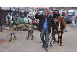 Trafikten Men Edilen At Arabaları, Motorlu Taşıtlar Gibi Otoparka Çekiliyor