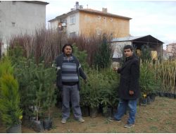 Yerköy’de Meyve Fidanları Satışa Çıktı
