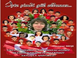 İlköğretim Öğrencileri, Şiir Kitaplarının Gelirini Mehmetçik Vakfı'na Bağışlayacak