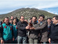 Lisinia 8‘inci Yılını Kuş Salarak Kutladı