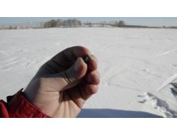 Rusya’da Meteor Parçası Bulundu