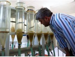 İzmir Kâtip Çelebi Üniversitesi'nden Balık Yemine Bilimsel Destek