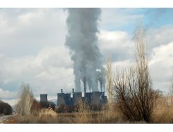 Greenpeace: Afşin-elbistan’da Acilen Ölçüm Yapılmalı