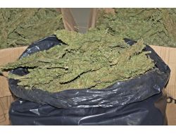 Gaziantep'te Uyuşturucu Operasyonu