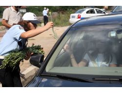 Pilot Bölge Seçilen Afyon, Kemer Takmada Türkiye Birincisi Oldu