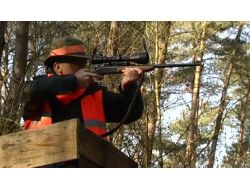 Belçika’da 200 Avcı Tek Bir Yaban Domuzu Avlayabildi