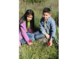 YARIN CEMRE HAVAYA DÜŞÜYOR