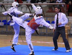 Türkiye Büyükler Tekvando Şampiyonası'nda Birinciler İzmir Ve İstanbul'dan Çıktı