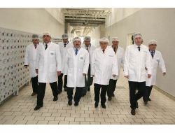 Osb Yönetimi Sütaş'ta İncelemelerde Bulundu