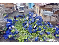 Kamyon Şarampole Yuvarlandı, Sürücü Kazadan Hafif Sıyrıklarla Kurtuldu