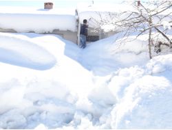 Bakar Mısınız, Burası Benim Evim Mi Acaba?