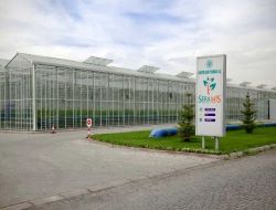 Kayseri Şeker Fabrikası Domatesten Sonra Biber Ve Salatalık Üretecek