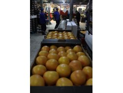 Japonya’ya 40 Yıl Sonra İlk Greyfurt İhracatını Adanalı Firma Yaptı