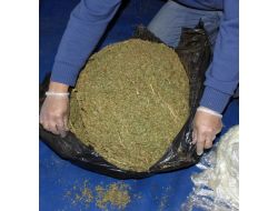 Gaziantep’te 2 Farklı Operasyonda 244 Kilo Esrar