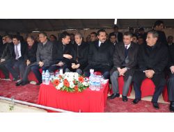 Şanlıurfa'ya, Türkiye'nin En Büyük Organize Besi Sanayi Bölgesi Kurulacak