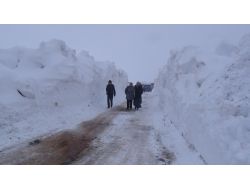 İLK CEMRE BİTLİS’İ TEĞET GEÇTİ!