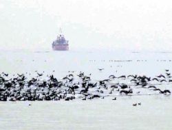 Spor Yapan İstanbullulara 'Karabatak' Sürprizi