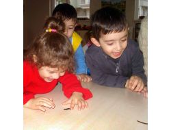 Anaokulu Öğrencilerinden, Tıbbi Sülüklere Büyük İlgi