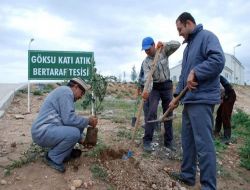 Silifke Belediyesi, Kıraç Ve Ağaçsız Alanları Yeşillendiriyor