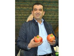 Türk Ürünlerine Gümrük Vergisi Uygulayan Mısır, Yunanistan'ı Muaf Tutuluyor