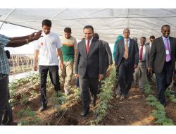 Somalililer Çiftçiliği Türklerin Açtığı Tarım Okulu'nda Öğrenecek