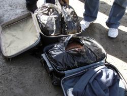 Narkotik Köpeği Tora Geçit Vermiyor