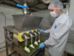 İzmir Kent Ekmek'in Glutensiz Ürünleri 50 Şehre Gönderiliyor