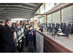 Güvercin Tutkunları Güvercin Festivali'nde Buluştu