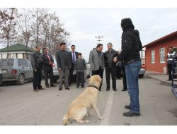 Uyuşturucu Ve Kaçakçılara Göz Açtırmayan Polise Tebrik