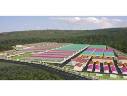 Antalya'da 150 Bin Metrekarelik Alana Hayvan Bakımevi Kurulacak