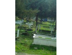 Aile Kabristanında Ölü Bulundu