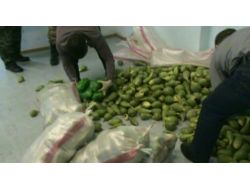 RUS POLİSİNDEN OPERASYON