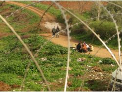 Türkiye Sınırına Mülteci Akını Artarak Devam Ediyor