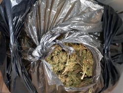 İstanbul'da narkotik operasyonu