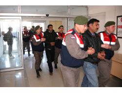 Yozgat’ta Avcılar 4 Kablo Hırsızını Yakalattı