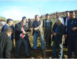 Çiftçilere Meyve Budama Eğitimi Uygulamalı Gösterildi