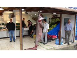 Dev 'Camgöze' Büyük İlgi