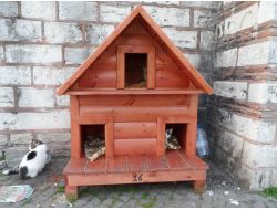 Sokak Kedilerinin De Evi Oldu