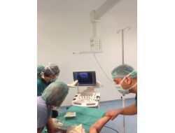 Viranşehirliler Riskli Ameliyatlar İçin İlçe Dışına Gitmiyor