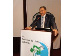 Bakan Eroğlu’ndan, Trabzon’a 248 Milyonluk Yatırım Müjdesi