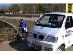 Çiçekdağı Belediyesi, Haşerelere Karşı İlaçlama Çalışmalarına Başladı