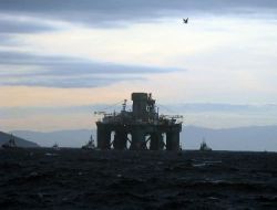 Dev Sondaj Platformu İstanbul Boğazı'na Giriş Yaptı!!