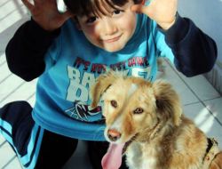 Beyninde Tümör Olan Minik Ali Utku, Yaşam Savaşını Kaybetti