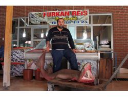 Silifke'de 4 Metrelik Köpekbalığı Yakalandı